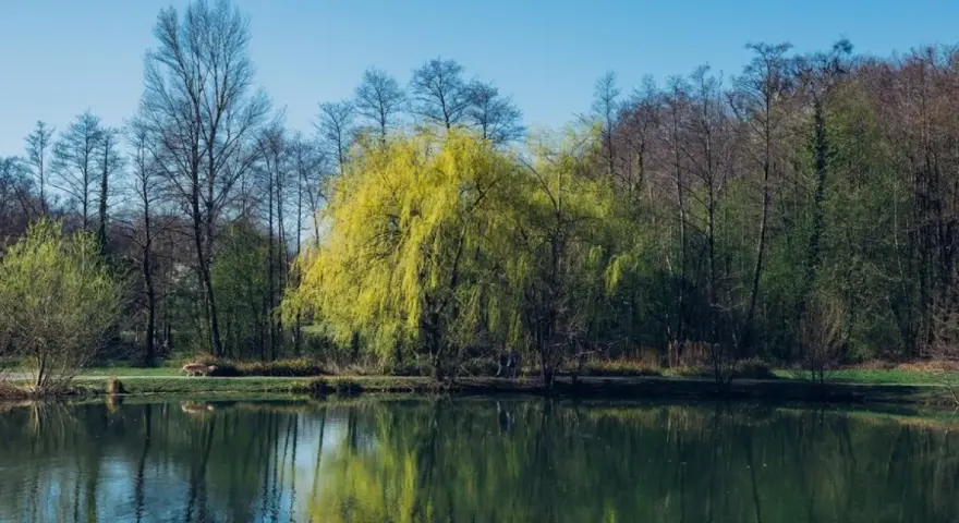 Jeziora zielonogórskie: piękne miejsca do wędkowania i relaksu