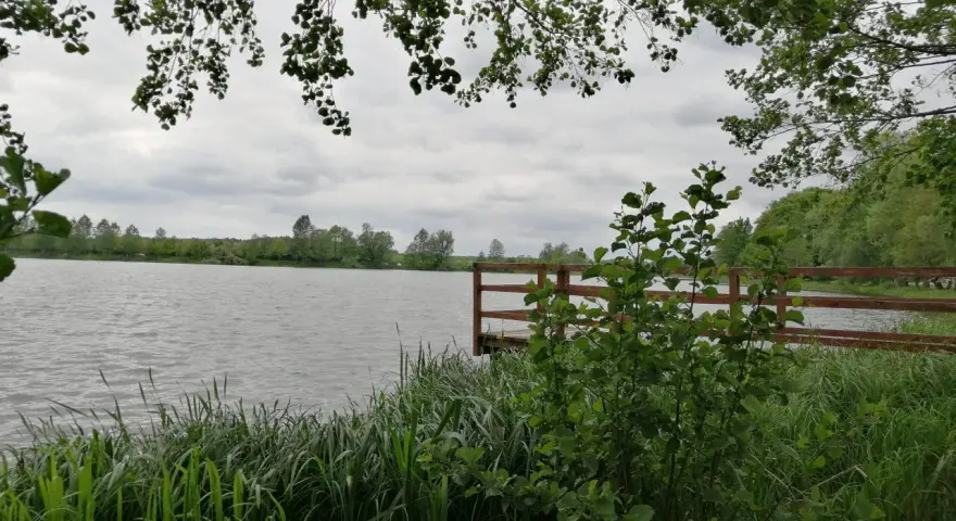 Widok na jezioro z pomostem, otoczone zielenią i zaroślami.