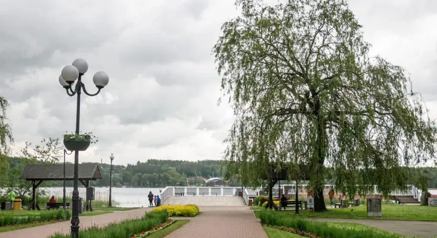 Deptak w Mrągowie nad Jeziorem Czos z drzewem i ławkami.