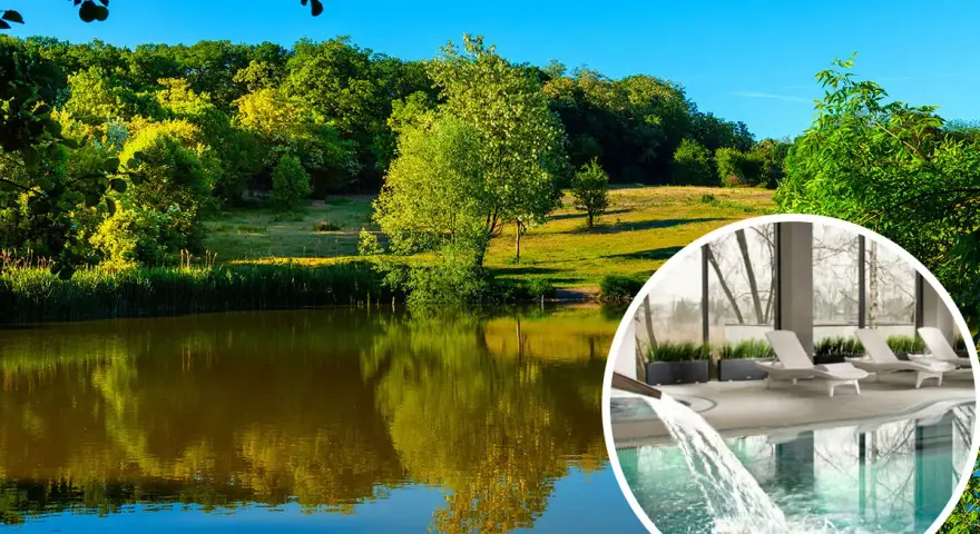 Widok na jezioro i las z okrągłym wstawieniem basenu i leżaków.